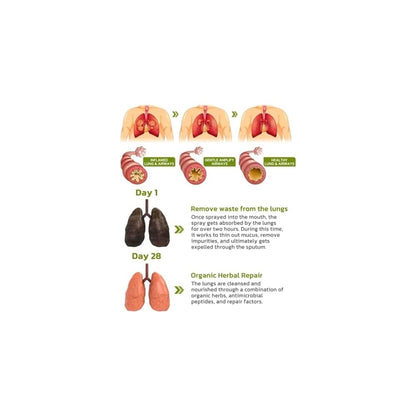 Lung Cleansing Spray